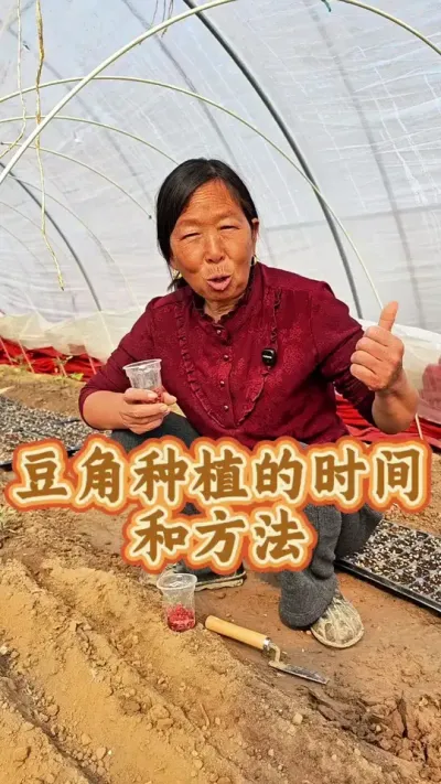 豆角种植的时间和方法讲解 豆角种植的时间和方法讲解#豆角种植 #种植小技巧 #三农 #每天分享蔬菜种植技巧 #生菜杨姐 @DOU+小助手