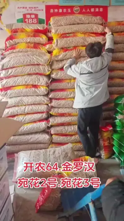 #花生 #抖音助农 #农业种植技术 #农业人 #助农
