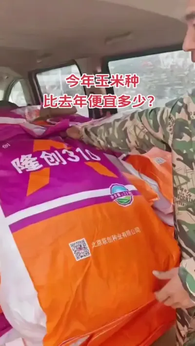 今年玉米种比去年便宜多少合适，10块20块你认为多少合适？#农资之路 #玉米种子 #种业人 #高产玉米种子 #农业知识