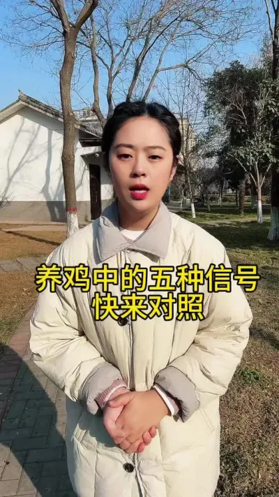 养鸡中的五种信号，快来一一对照#科学养鸡 #养鸡人 #服务三农支持三农 #鸡病防治 #养殖小妙招