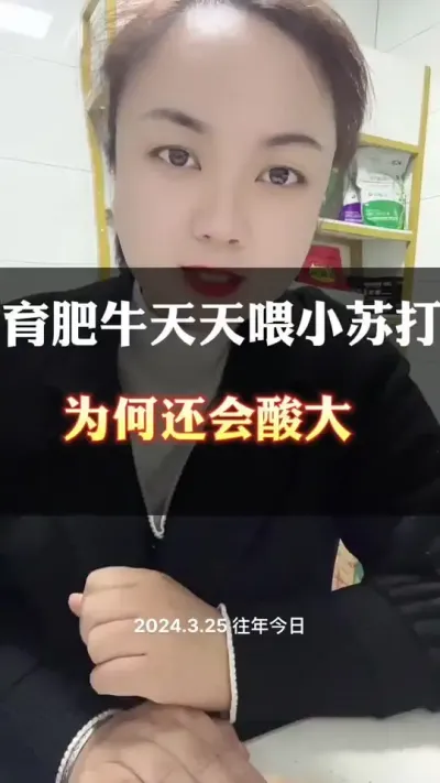 天天喂小苏打，为何还会酸大？#全国养牛人 #肉牛养殖 #西门塔尔 #养殖人