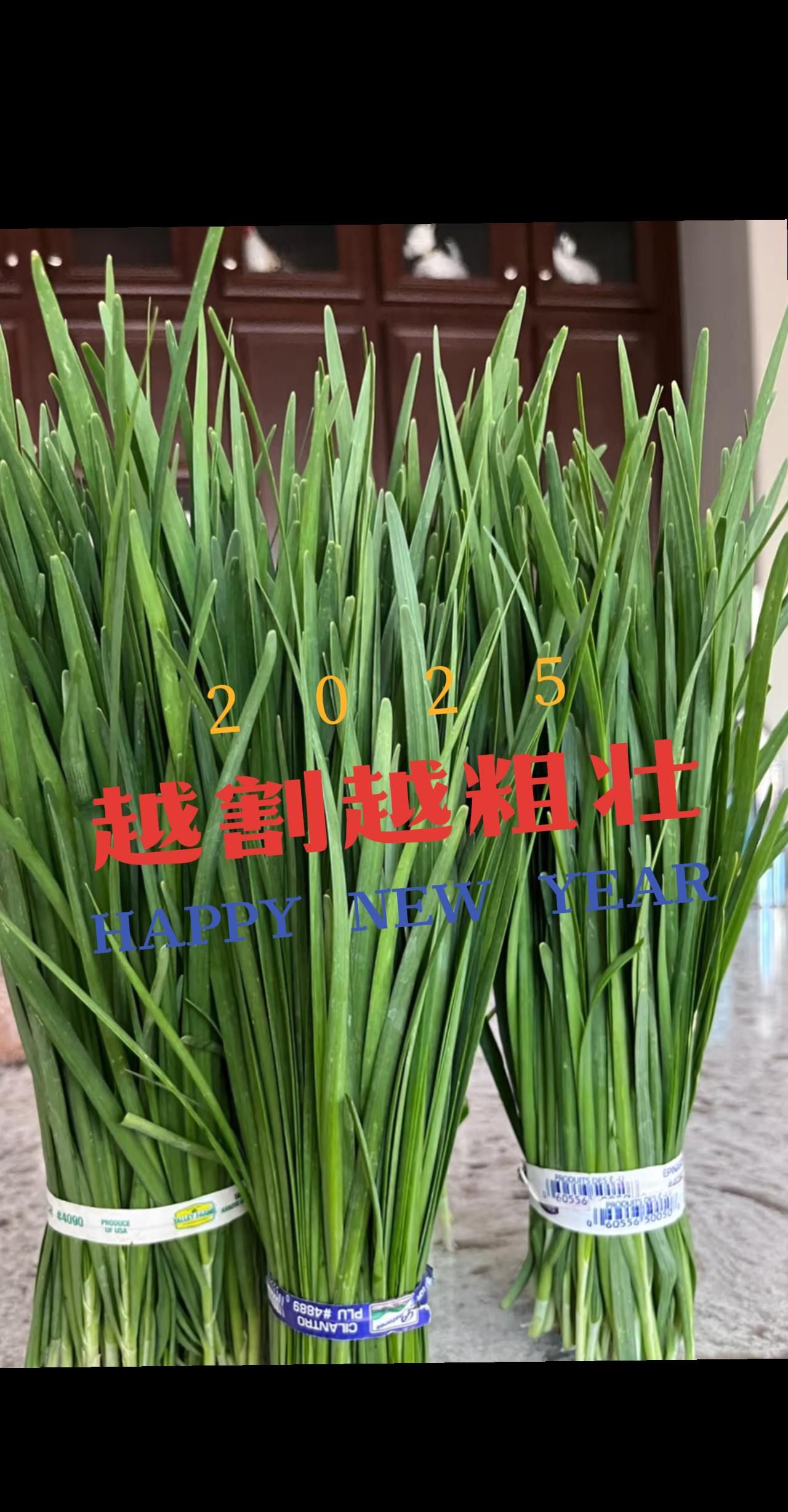 http://static.ixuenong.com/pxn/uploads/prod/thirdfile/2025/05/2fa65a77a877ba689c7123fc7746d5c1.jpg