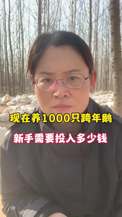 新手养鹅，现在养1000只跨年鹅，需要投入多少钱？#养鹅技术分享 #科学养鹅 #农村创业养殖 #养殖人加油 #上热门🔥 @抖音创作小助手