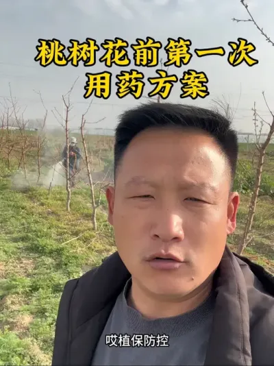 #桃树花前喷药方案 #农业技术推广 #服务三农支持三农 #新农人创业 #幸福乡村春耕季 @抖音小助手 @抖音热点 @抖音创作者中心