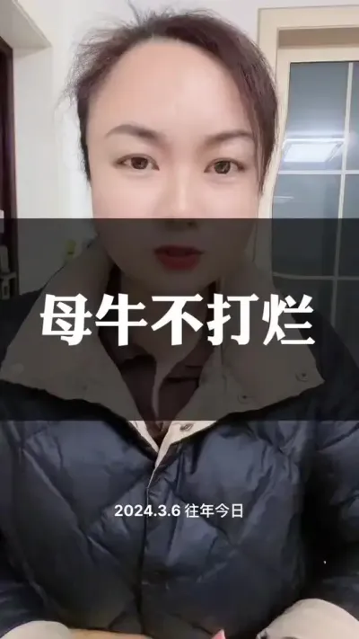 母牛不打栏你就这样做