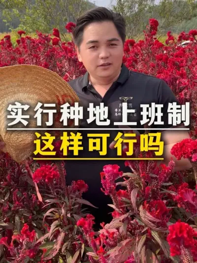 实行种地上班制，这样可行吗#农业种植 #三农 #农民 #农民工 #种植
