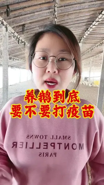养鹅到底要不要打疫苗#养鹅 #养鹅人 #鹅 #养鹅技术分享 #科学养鹅
