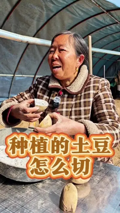 种植的土豆怎么切 种植的土豆怎么切#土豆种植 #蔬菜种植 #种植小技巧 #生菜杨姐 #每天分享蔬菜种植技巧 @DOU+小助手