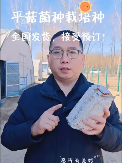 平菇菌种，全国速发，提供技术支持 种平菇，用菌种，找六希#平菇基地 ##食用菌栽培 #平菇菌种