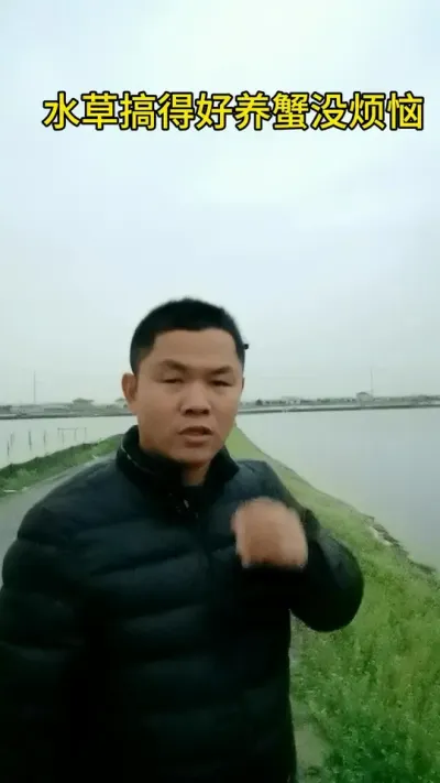 水草搞得好，养蟹没烦恼 #水产养殖 #河蟹养殖