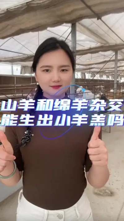 山羊和绵羊能生出什么样羔羊#养羊知识 #我的养殖生活 #养羊技术 #养殖人加油 #羊价走势