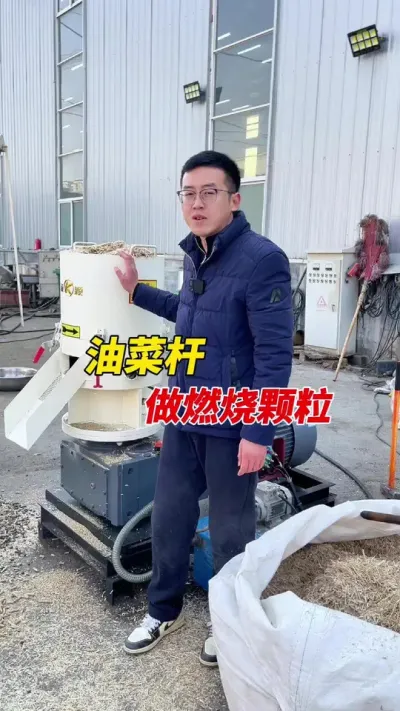 油菜杆做燃烧颗粒 油菜秆变废为宝的好方法，做成燃烧颗粒价值翻倍。#颗粒机 #生物质颗粒机 #燃烧颗粒