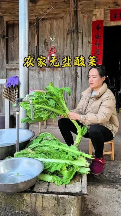 #乡村气息 #创作者中心 #创作灵感 在农村，有一种味道，那是岁月沉淀下来的质朴与醇厚，那就是自己做的无盐酸菜。做酸菜鱼 清炒 炒肉沫 做酸菜包子馅等&hellip;&hellip;怎么做都好吃呀！#酸菜的腌制方法 #无盐酸菜做