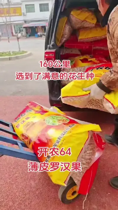 #抖音助农 #农业人 #关注三农 #花生 #农业种植技术