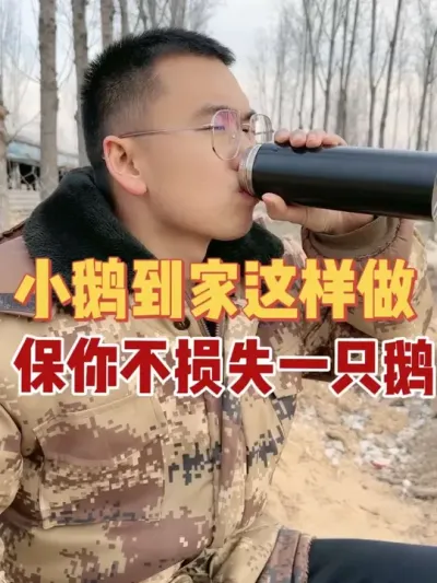 你的小鹅刚到家是不是总是出现爪子干，不喝水不吃料然后就陆续出现损失的情况？来来来，这样做！保你不损失一只鹅！#养鹅技术分享 #鹅 #养鹅技术找晓雨