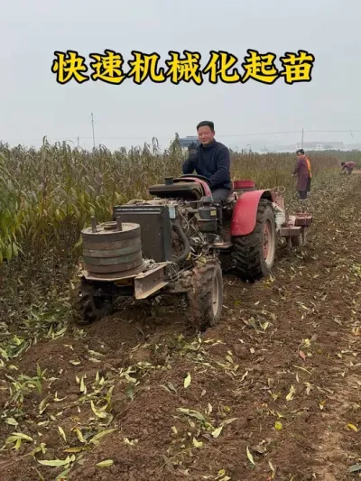 #分享农业知识帮农民增产增收 #服务三农支持三农 #抖音助农 #农业技术推广 #新品种桃苗 @抖音小助手 @抖音热点宝 @抖音创作小助手