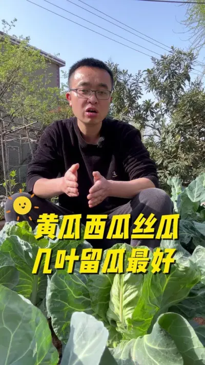 黄瓜西瓜丝瓜几片叶子留瓜最好？瓜果蔬菜留瓜技巧#关注我一起学种菜 #种植小技巧 #在家种菜 #种菜 #在家种菜