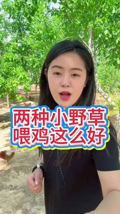 #科学养鸡 #养鸡妙招#鸡鸭鹅养殖#养鸡#养鸡妙招