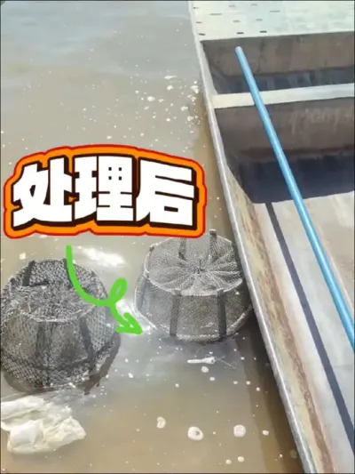 处理青苔蛮好的 #水产养殖 #养蟹 #养蟹发哥