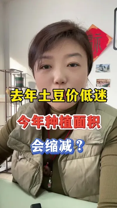 去年土豆不赚钱，今年土豆面积会不会缩减#土豆高产种植 #土豆 @抖音小助手