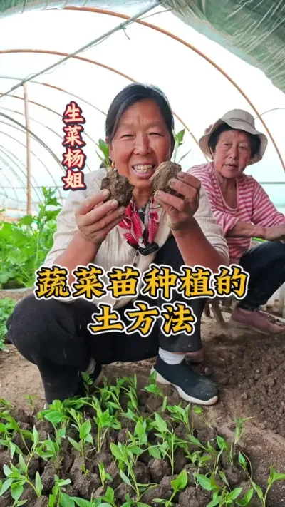 蔬菜种植的土方法 蔬菜种植育苗的土方法 你见过吗 #蔬菜种植 #每天分享蔬菜种植技巧 #生菜杨姐 #三农种植 @DOU+小助手