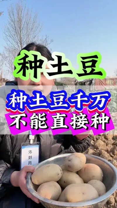 种土豆千万不能直接种#种植小技巧 #抖音助农 #土豆 #三农 #农业种植