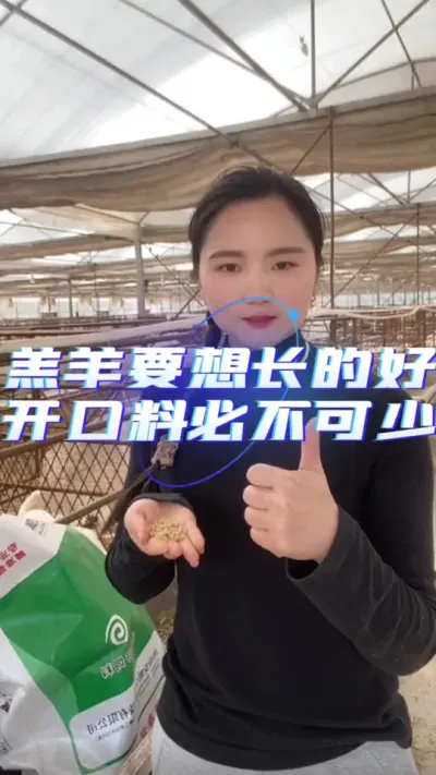 羔羊开口料#养羊技术服务 #养羊技术 #养羊人 #羔羊开口料