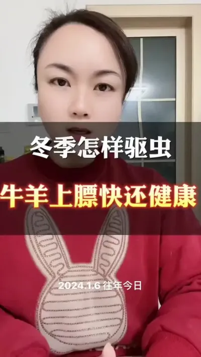 冬季怎样驱虫，牛羊上膘快#养殖户 #肉牛养殖 #全国养牛人 #科学喂养 #西门塔尔