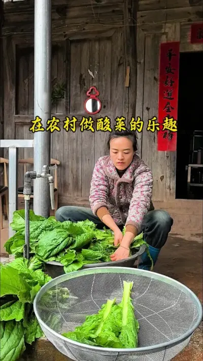 #创作灵感 #我的乡村生活 感受农村收菜的乐趣吧，今天给大家分享我们这边农村简单的无盐酸菜做法，用来做酸菜鱼，炒肉沫等清炒也好吃呀&hellip;&hellip;#自制酸菜也太下饭了 #美味无敌 #农村酸菜腌制方法 @DOU+上