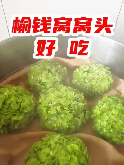 榆钱窝窝头超好吃 #榆钱窝窝 #尝一口春天的味道 #又到了吃野菜的季节了 #乡野春日地图 #新农人计划2025