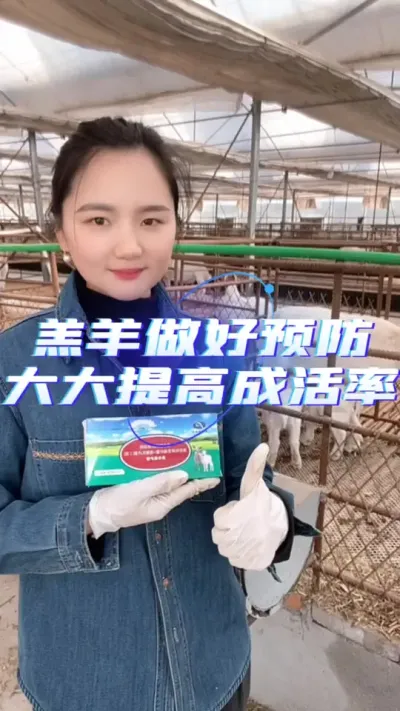 羔羊保护液#羊羔成活率 #养羊知识 #养羊创业 #养羊人