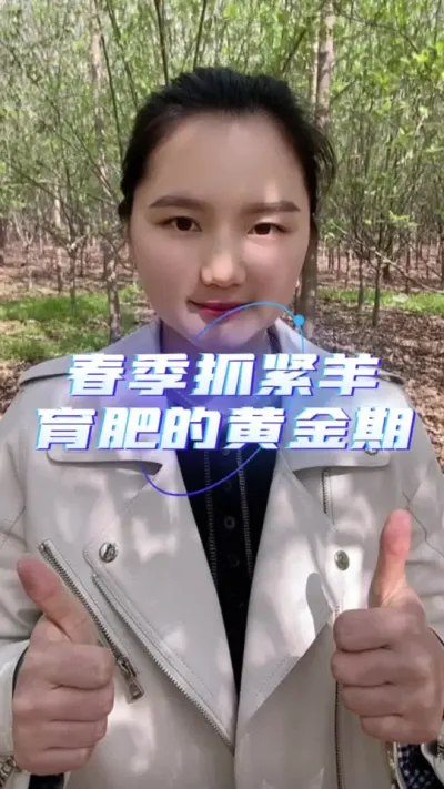 春季抓紧羊育肥的黄金时期#养羊知识 #自繁自养 #服务三农支持三农 #羊价行情 #养羊技术