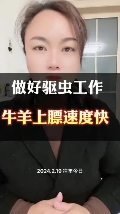 做好驱虫工作，牛羊上膘速度快#牛羊养殖 #养殖户 #科学喂养 #肉牛犊肉牛养殖场