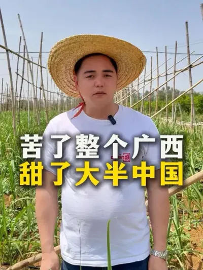 苦了整个广西，甜了大半中国#甘蔗#甘蔗种植#种植小技巧 #肥料#三农