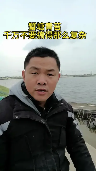 蟹塘青苔不要搞得那么复杂 下面全是处理青苔的秘籍#水产养殖 #河蟹养殖