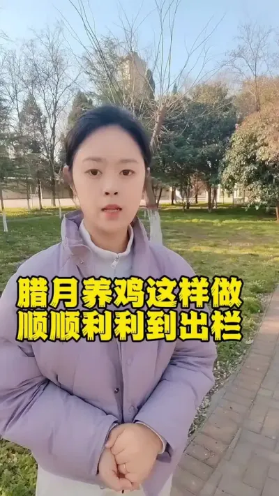 腊月养鸡这样做顺顺利利到出栏#养鸡人 #服务三农支持三农 #科学养鸡 #养鸡场 #鸡病防治