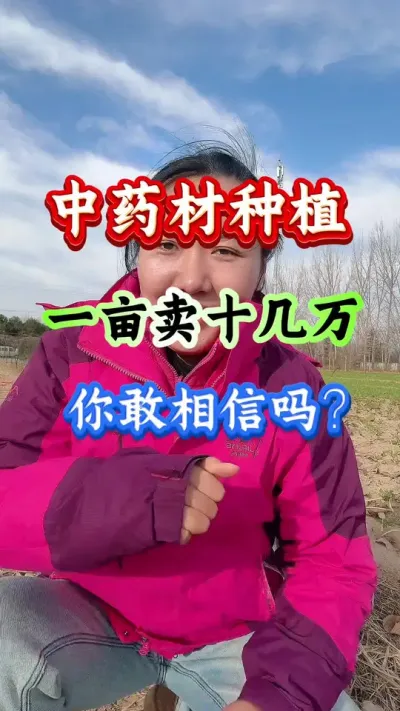药材种植 中药材种植一亩卖十几万你敢相信吗 #药材种植 #药材管理