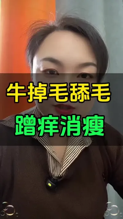 牛出现掉毛蹭痒舔毛，直接影响牛的心情#养牛场 #西门塔尔 #科学养殖 #肉牛犊肉牛养殖场