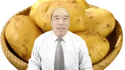 土豆的超高产种植技术#土壤改良 #三农服务 #产品推广 #农业种植技术 #振兴乡村