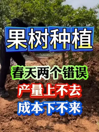 春天两个错误做法，会让你的产量上不去，成本下不来#果树种植 #果树管理 #果园管理