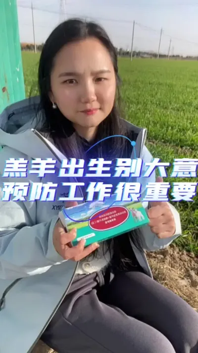 提高羊羔成活率#养羊技术分享 #每天分享牛羊养殖小知识 #三农养羊人