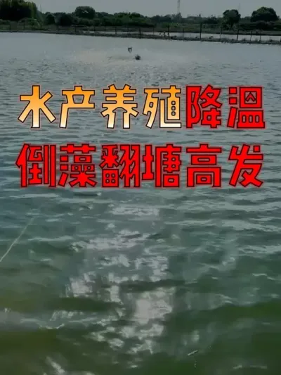 #水产人  速看！#水产养殖  降温前的关键措施，都给你总结好了！！#水产养殖技术  #水产