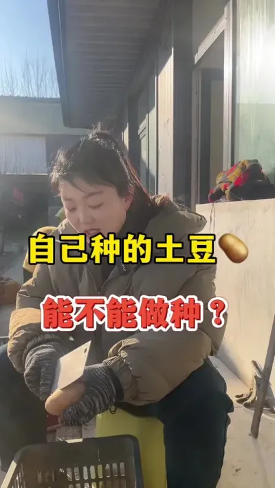 自己种的土豆可以留种做种薯吗？#土豆高产种植 #土豆 @抖音小助手