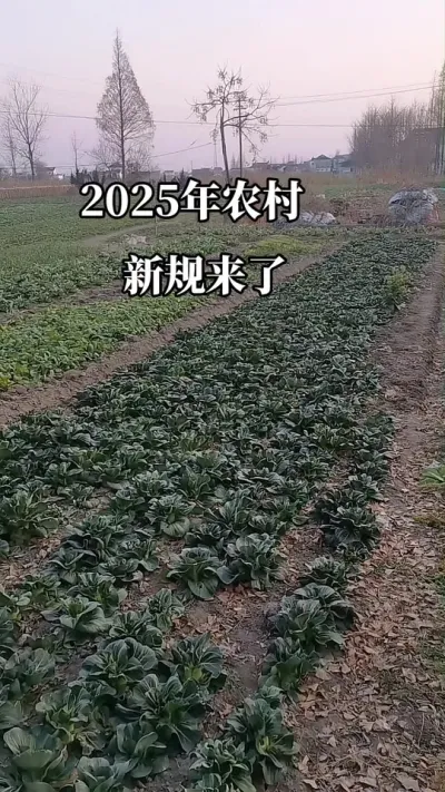 #2025年农村新规来了#农民不容易 #服务三农支持三农 #老百姓关心的话题 #抖音助农