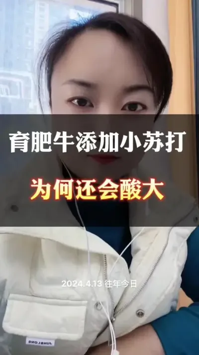 育肥牛后期酸大#肉牛养殖 #全国养牛人 #西门塔尔 #养殖户