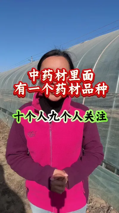 药材种植 中药材里面有一个药材品种十个人九个人关注 #药材种植 #药材管理