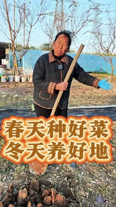 春天种好菜 冬天养好地 春天种好菜冬天养好地#每天分享蔬菜种植技巧 #蔬菜种植 #生菜杨姐 #跟着杨姐学种菜 #土壤改良 @DOU+小助手