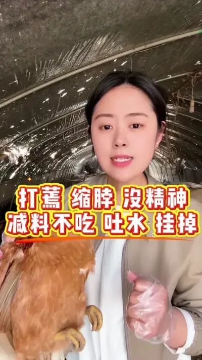 鸡打蔫缩脖没精深，减料不吃，吐水经常挂掉 #鸡鸭鹅养殖 #服务三农支持三农 #鸡病防治 #科学养鸡 #养殖小妙招