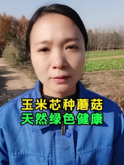 玉米芯种蘑菇专用菌种包 #玉米芯种蘑菇 #种蘑菇 #蘑菇菌包 #今日三农爆款