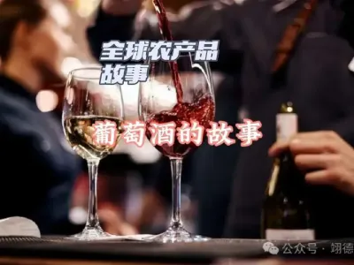 葡萄酒助眠#睡前喝红酒有助于睡眠吗 @云食界